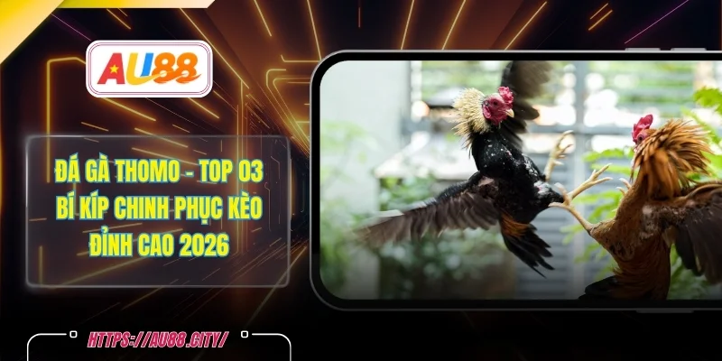 Đá Gà Thomo